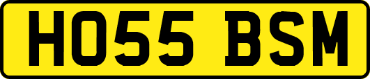 HO55BSM