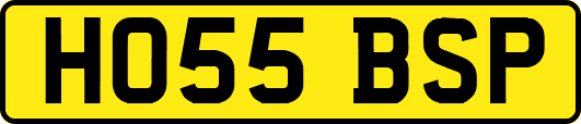 HO55BSP
