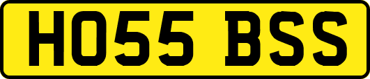 HO55BSS