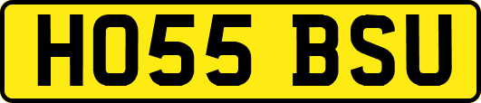 HO55BSU