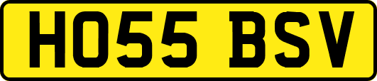 HO55BSV