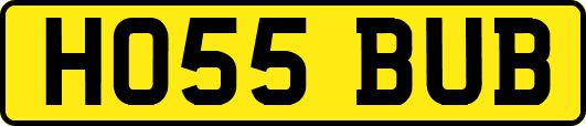 HO55BUB