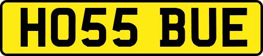 HO55BUE