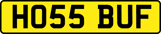 HO55BUF