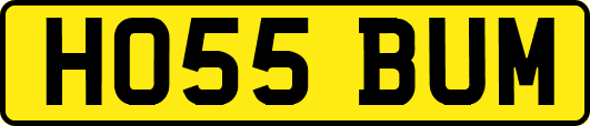 HO55BUM