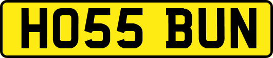 HO55BUN