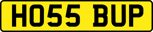 HO55BUP