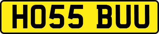 HO55BUU
