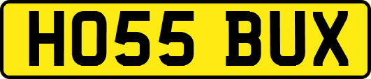 HO55BUX