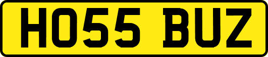 HO55BUZ