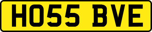 HO55BVE