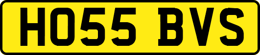HO55BVS