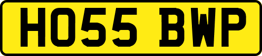 HO55BWP