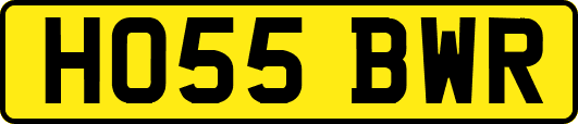 HO55BWR