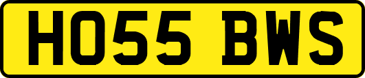 HO55BWS
