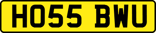 HO55BWU