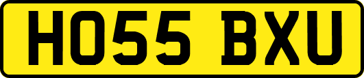 HO55BXU