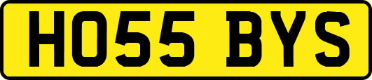 HO55BYS