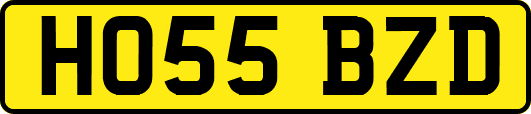 HO55BZD
