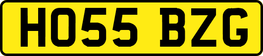 HO55BZG