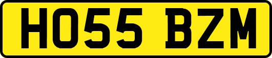 HO55BZM