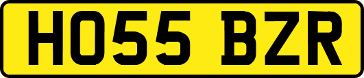 HO55BZR