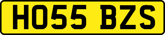 HO55BZS
