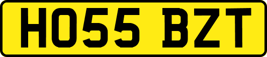 HO55BZT