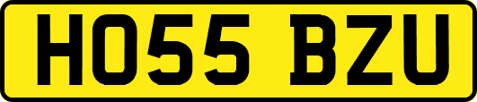 HO55BZU