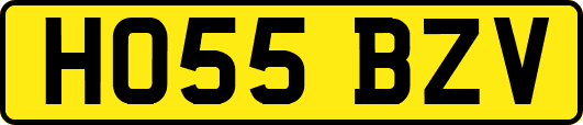 HO55BZV
