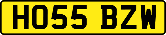 HO55BZW