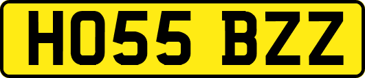 HO55BZZ