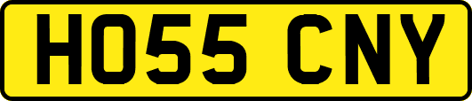HO55CNY