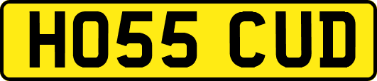 HO55CUD