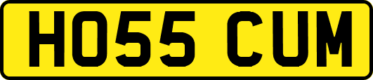 HO55CUM