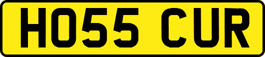 HO55CUR