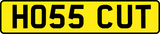 HO55CUT