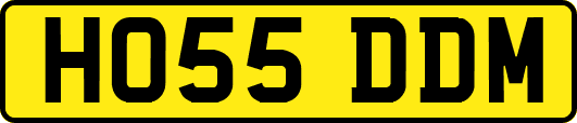 HO55DDM
