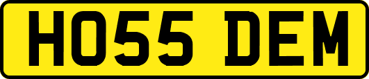 HO55DEM