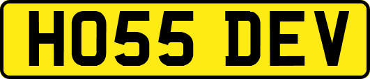 HO55DEV