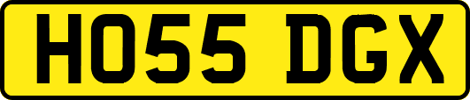 HO55DGX