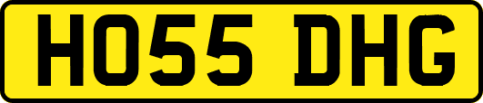 HO55DHG