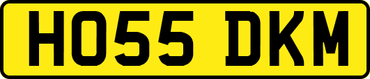 HO55DKM