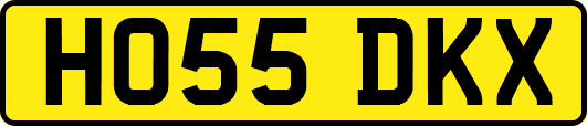 HO55DKX