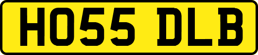 HO55DLB