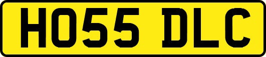 HO55DLC