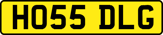 HO55DLG