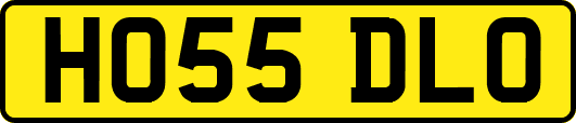 HO55DLO