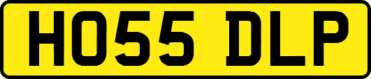 HO55DLP