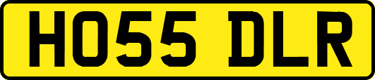 HO55DLR